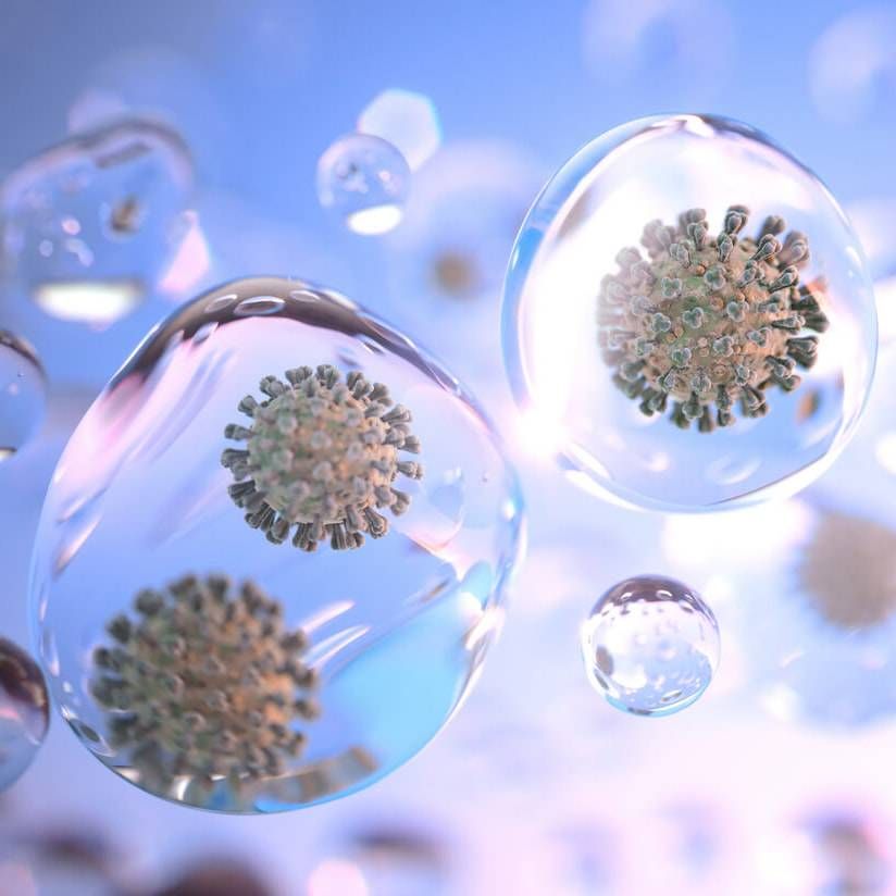 Virus Virus